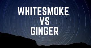 WhiteSmoke vs Ginger