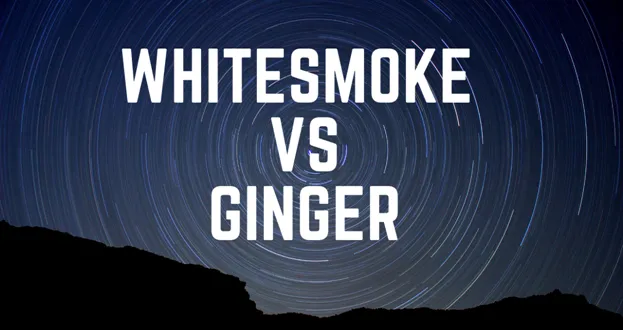 WhiteSmoke vs Ginger