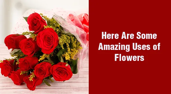 6 Amazing Uses of Flowers