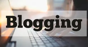 5 Blog Niche Idea for New Bloggers