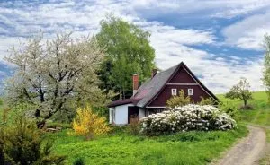 9 Tips on How You Can Improve Your Garden Instantly