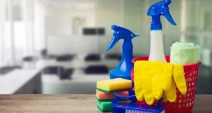 Professional Cleaning Services