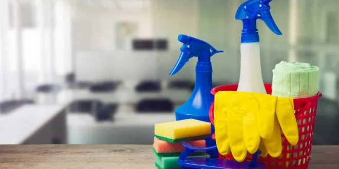 Professional Cleaning Services