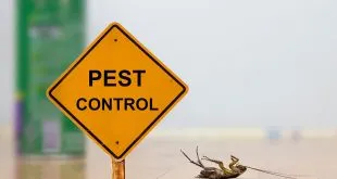 pest control