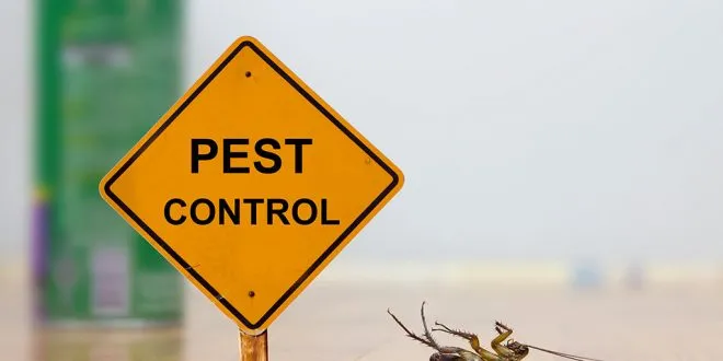 pest control