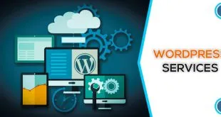 wordpress design company
