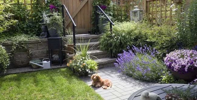 Maintain Your Landscaped Yard