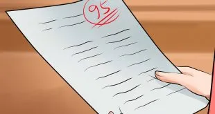 my assignment
