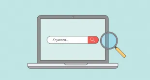 SEo Keywords