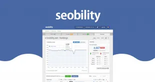 Seobility