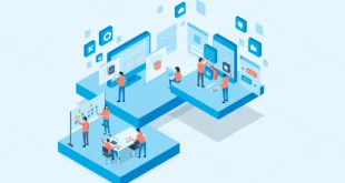 offshore software development