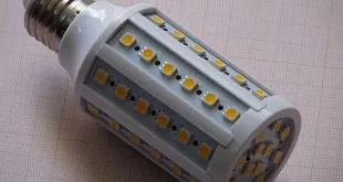 Discount Corn Cob Bulb