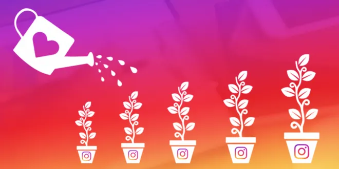 Instagram Growth Services