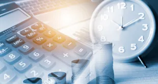 Term Insurance Calculator