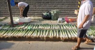 Ecommerce and Agriculture