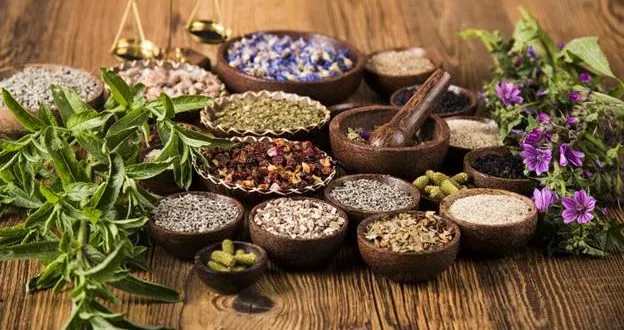 Natural Supplements For A Healthy Lifestyle