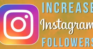 Instagram Followers