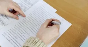 essay writing