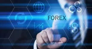 Forex brokers