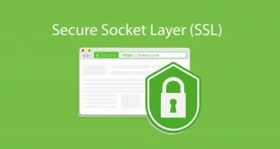 SSL Certificate