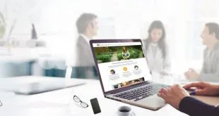 Web Design Companies