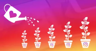 How to Get More Likes and Become Instagram Famous