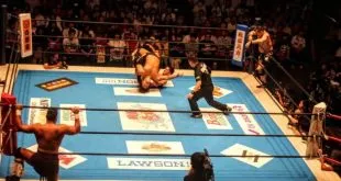 Wrestling Arenas