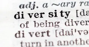 professional translation agency