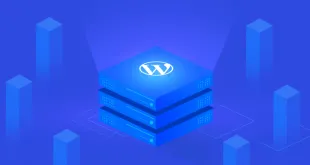 Wordpress Hosting