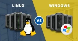 What Makes Linux Reseller Hosting More In-Demand Than Windows Reseller Hosting?
