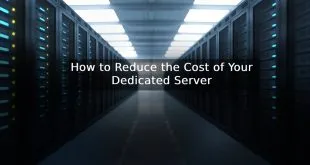 How to Reduce the Cost of Your Dedicated Server