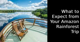 What to Expect from Your Amazon Rainforest Trip