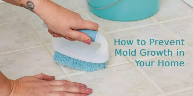 How to Prevent Mold Growth in Your Home