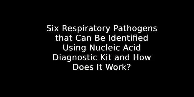 Nucleic Acid Diagnostic Kit