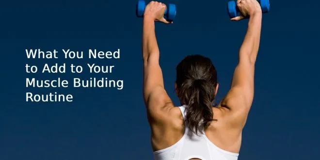 Muscle Building Routine