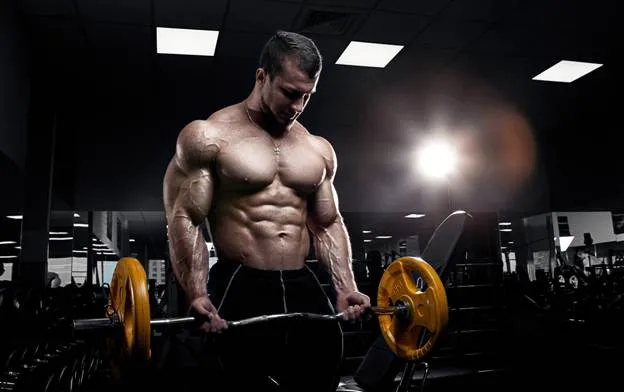 Muscle Building Routine