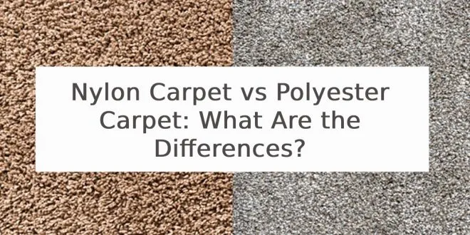 Nylon Carpet vs Polyester Carpet