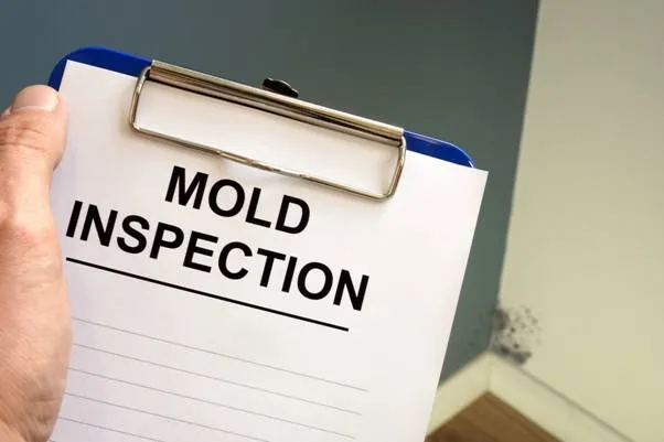 Roof Mold