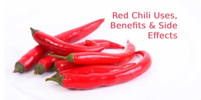 Red Chili Uses, Benefits & Side Effects