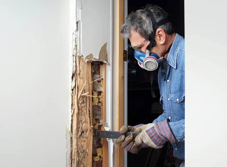 home pest control
