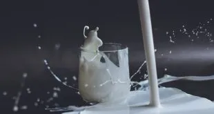 Health and Lifestyle dairy additives