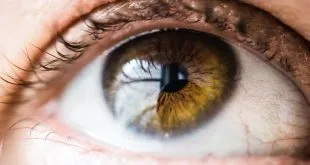 Taking Care of Your Eyes