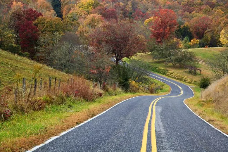Road Building