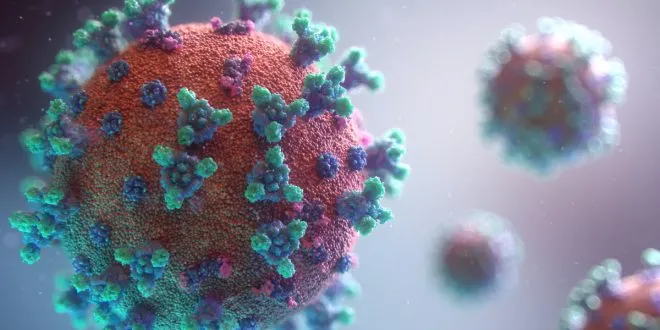 Major Signs & Symptoms Of Monkeypox Virus