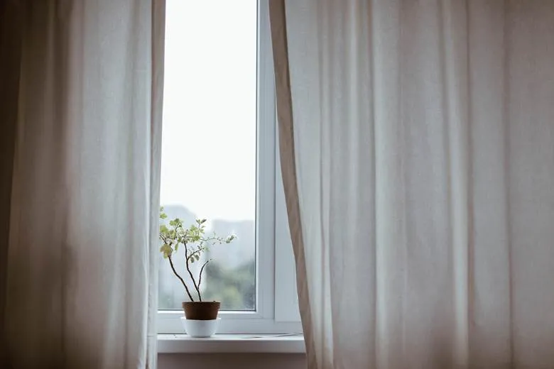 Bedroom Windows