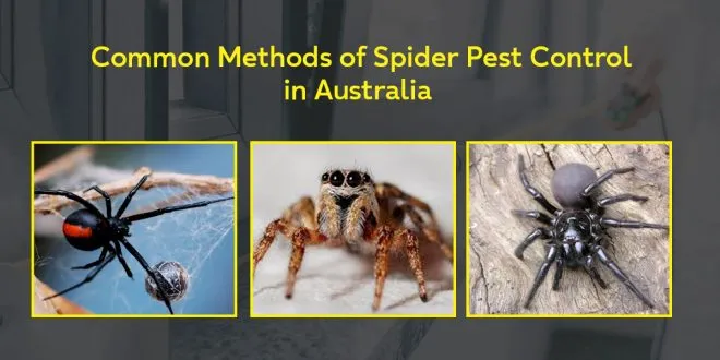 Pest control