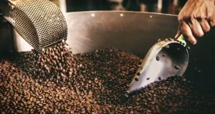 Art of Coffee Roasting