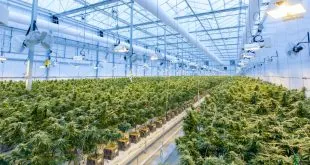 Greenhouse