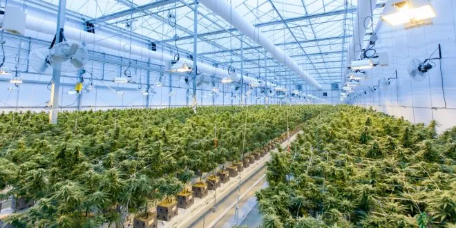 Greenhouse