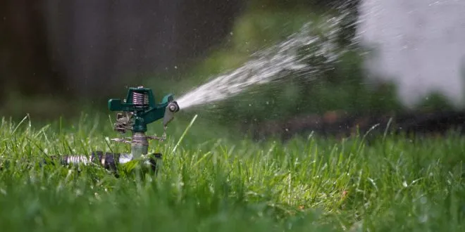 Lawn and Landscaping